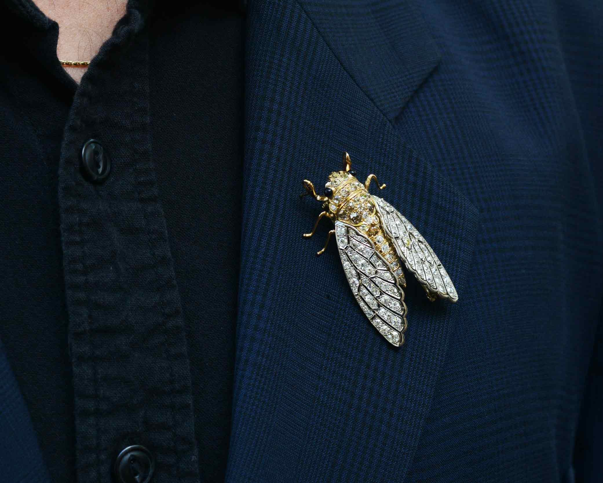 Interesting Insect Cicada Diamond Brooch Pin