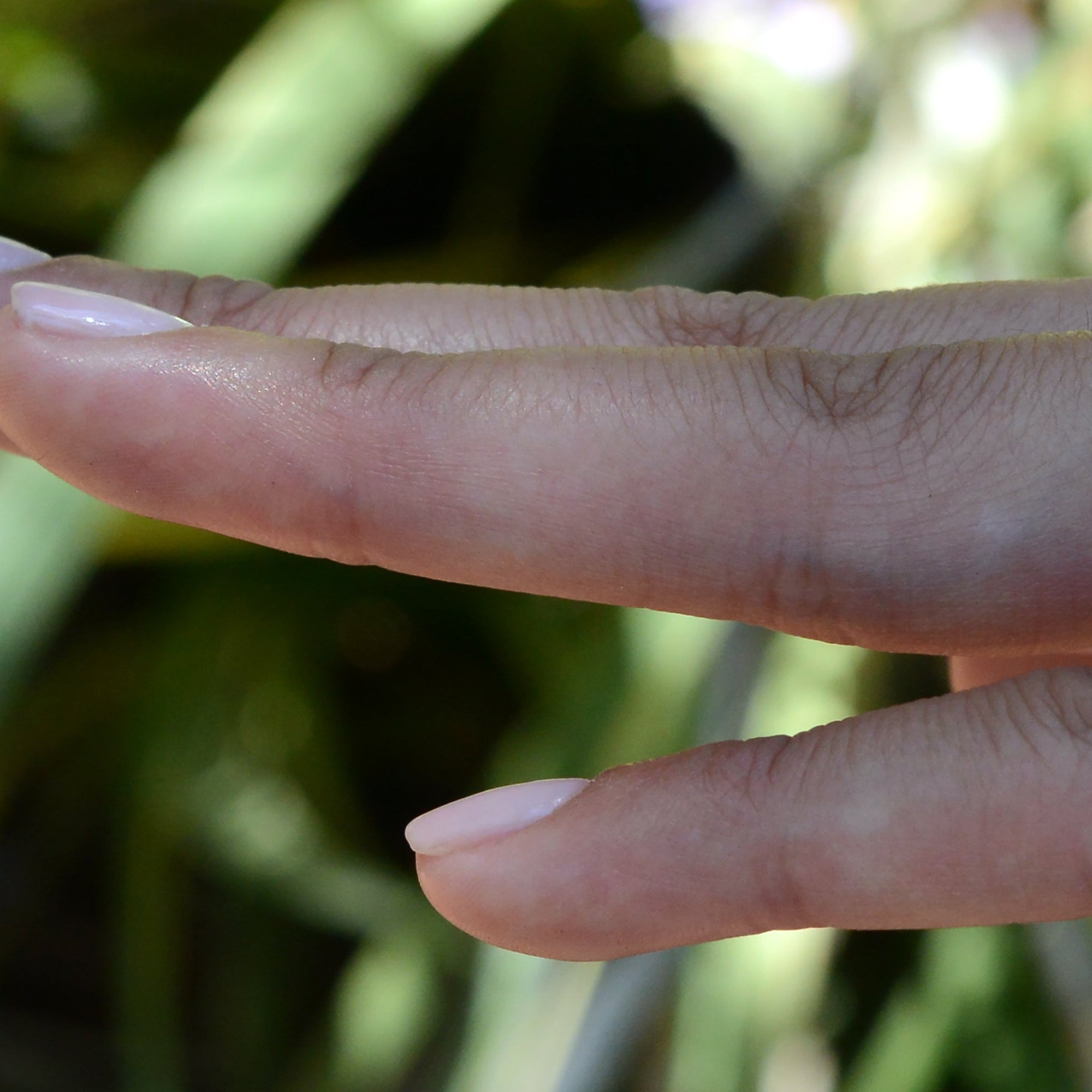 Floral Vine Trellis Diamond Wedding Band