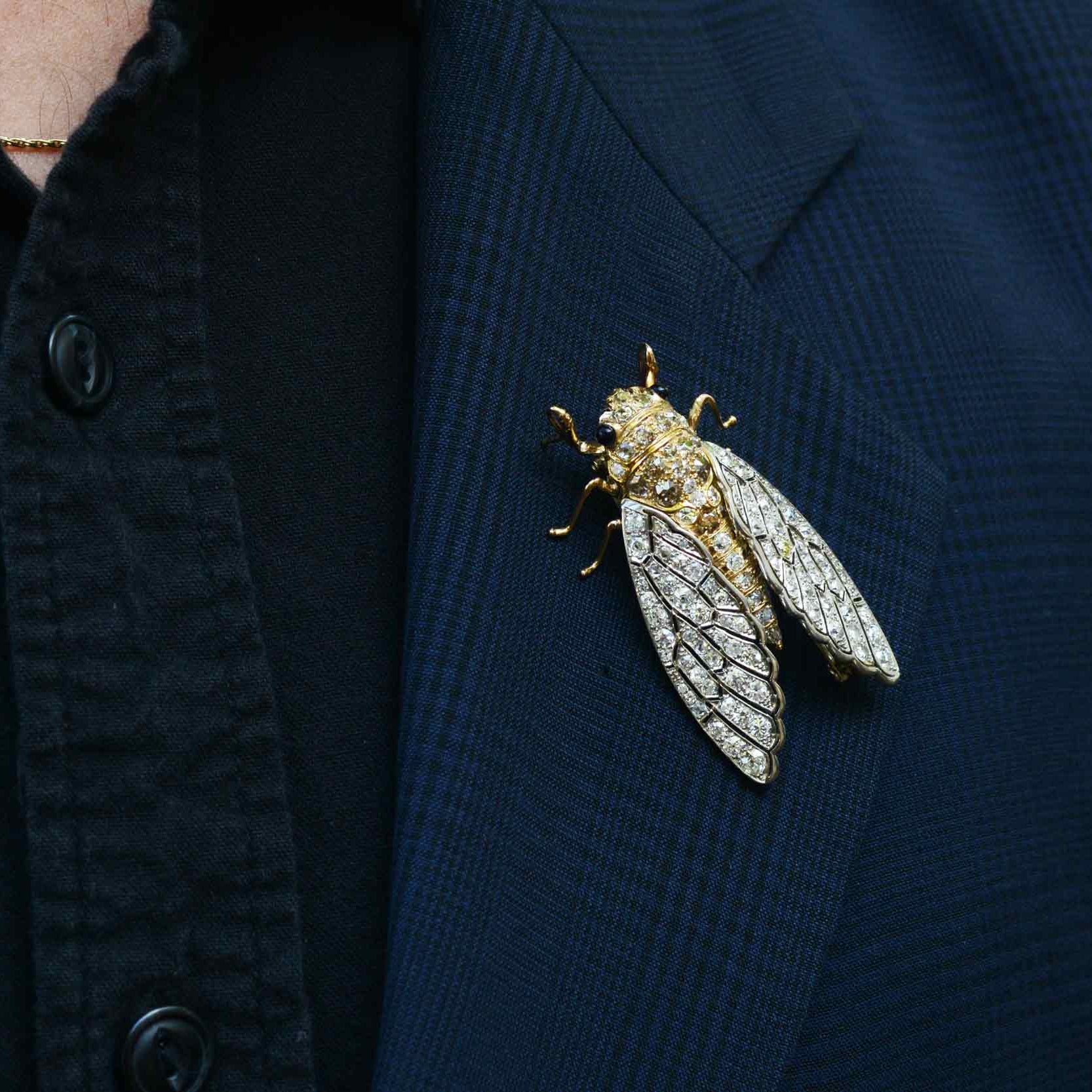 Interesting Insect Cicada Diamond Brooch Pin