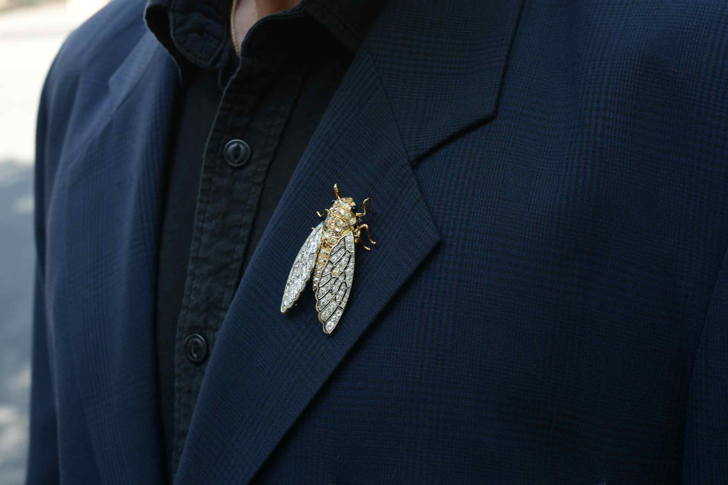 Interesting Insect Cicada Diamond Brooch Pin