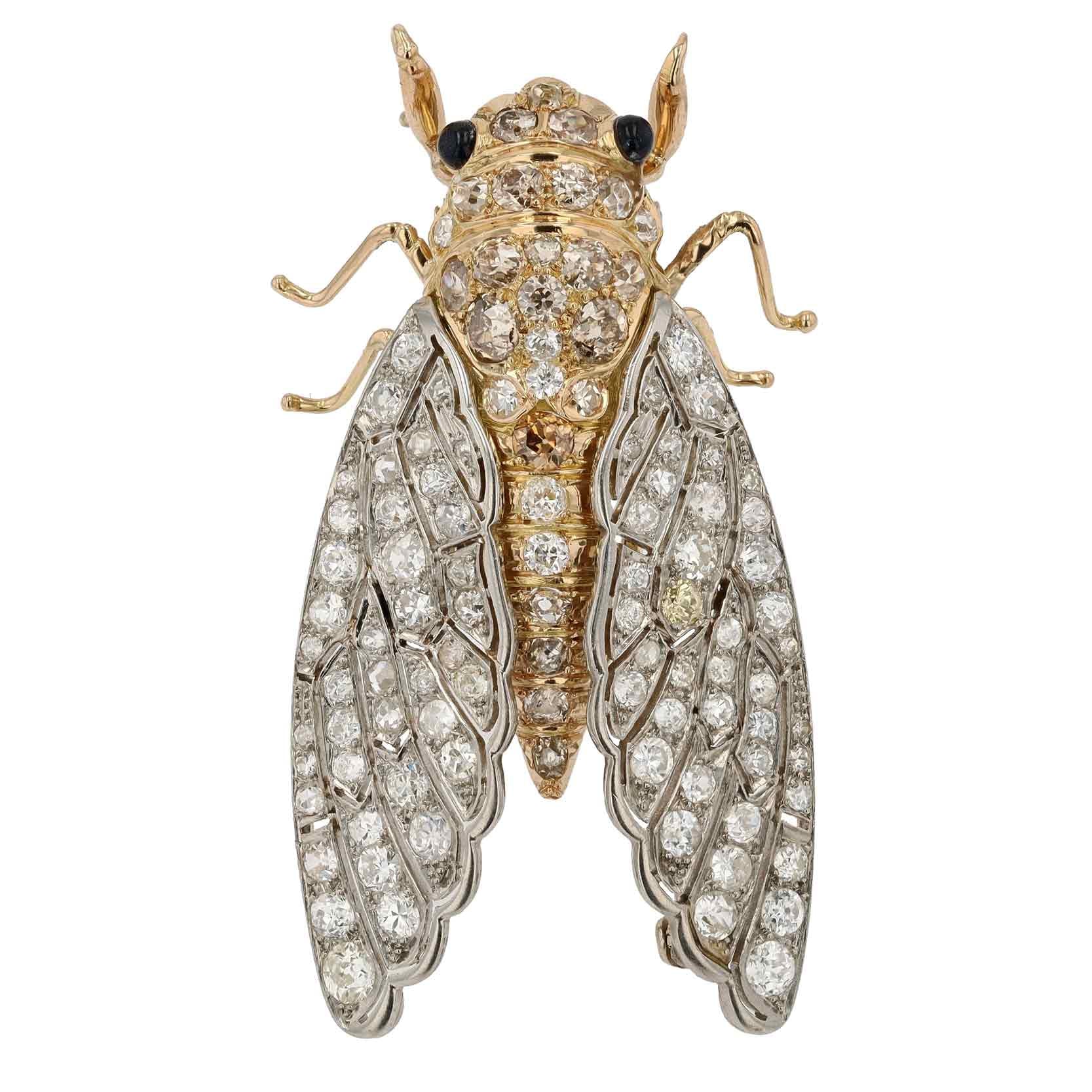 Victorian Brooch Pin