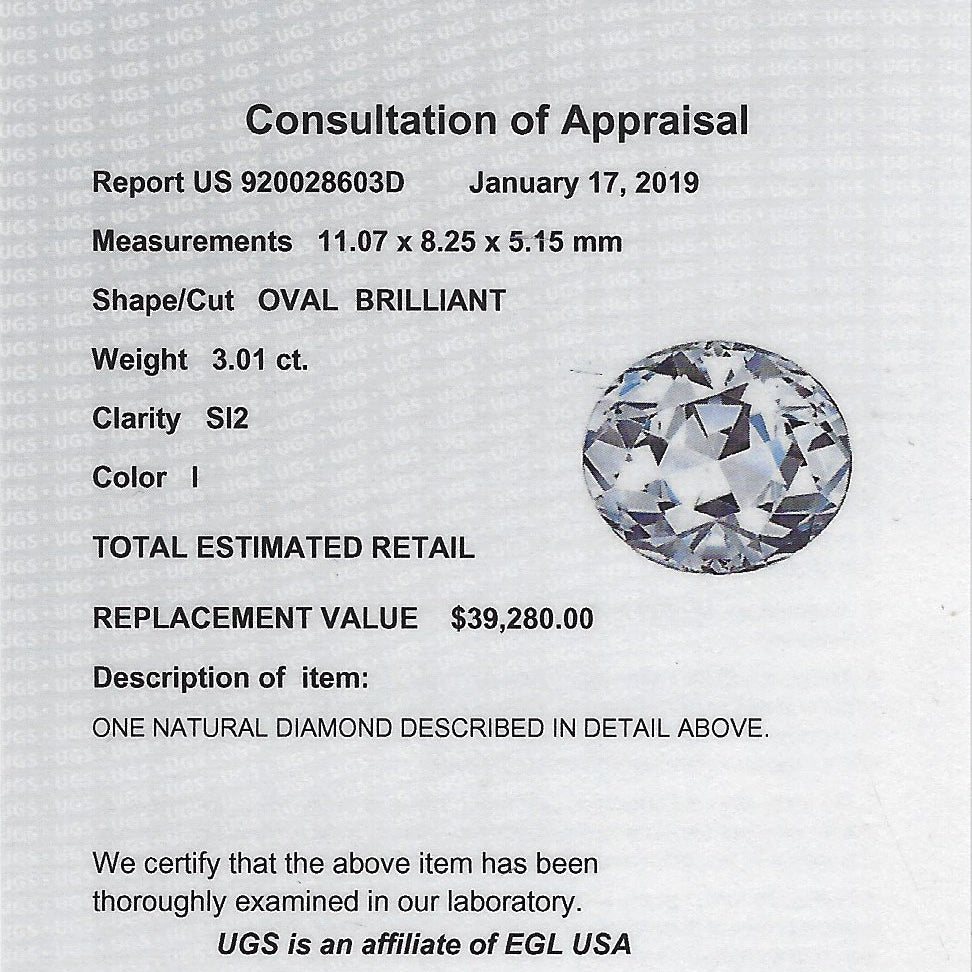 A Universal Gemological Services consultation of appraisal.