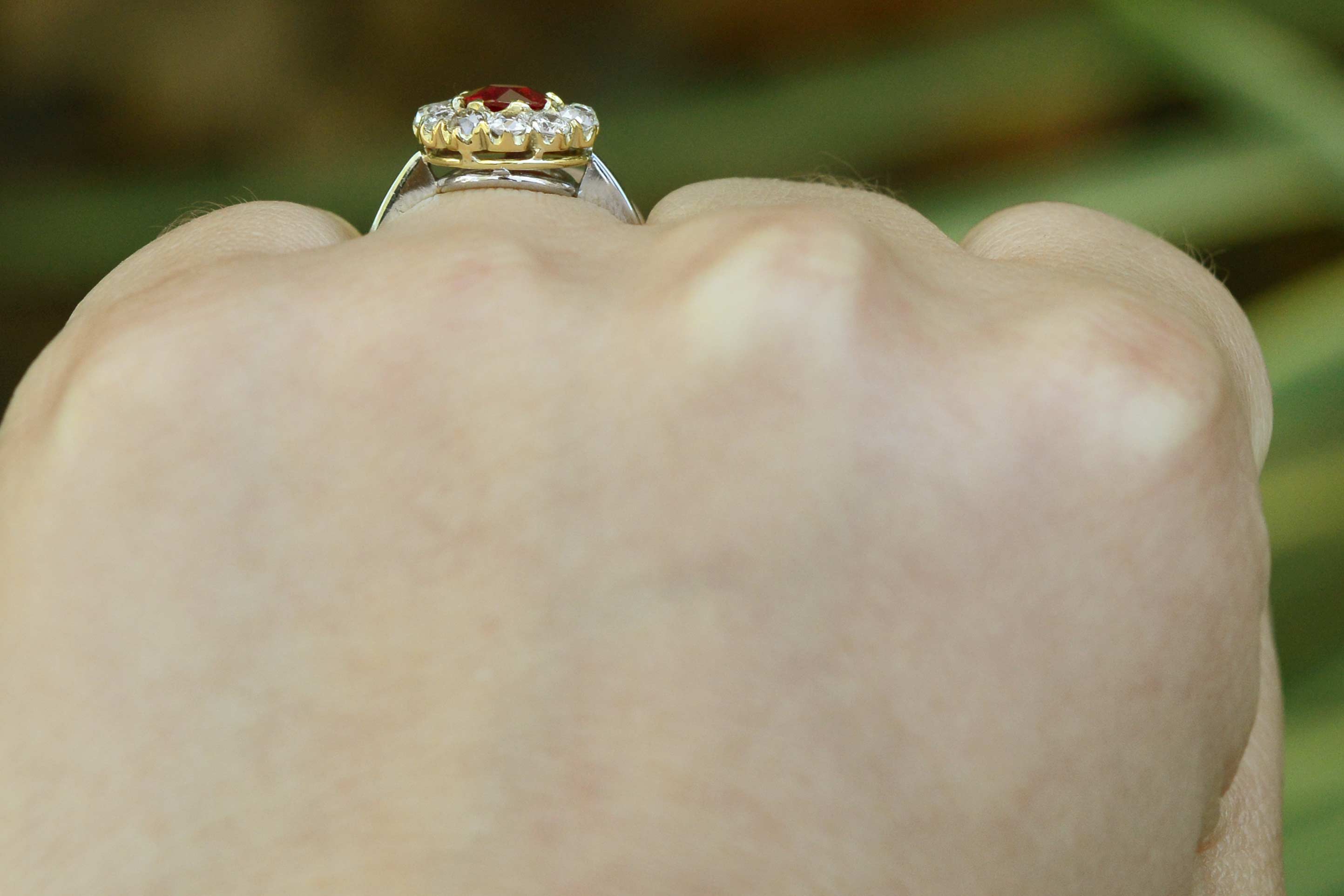 A two tone gold and platinum ruby ring, an antique treasure.