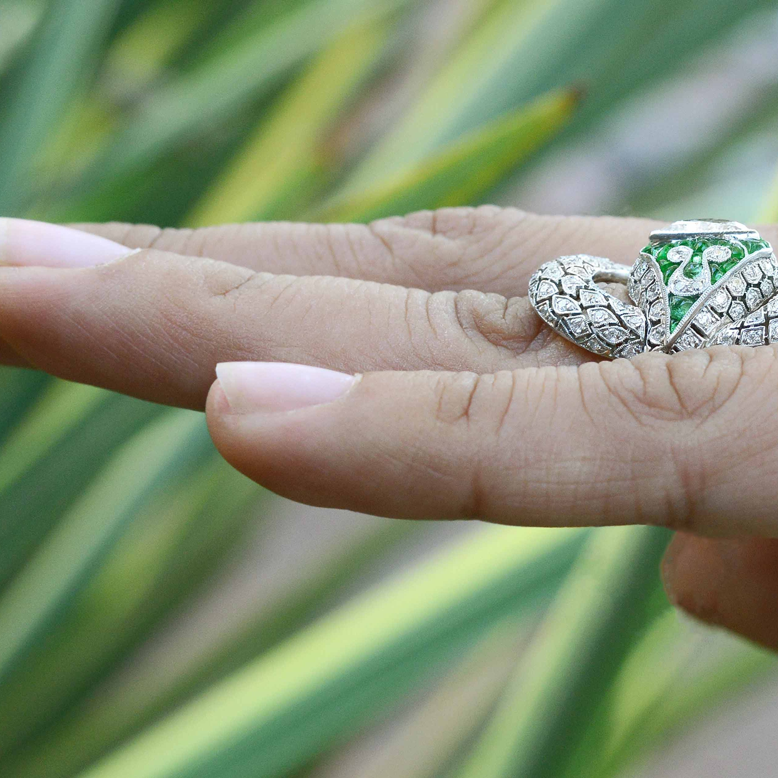 Snakes have been associated with rebirth, eternal love and protection.