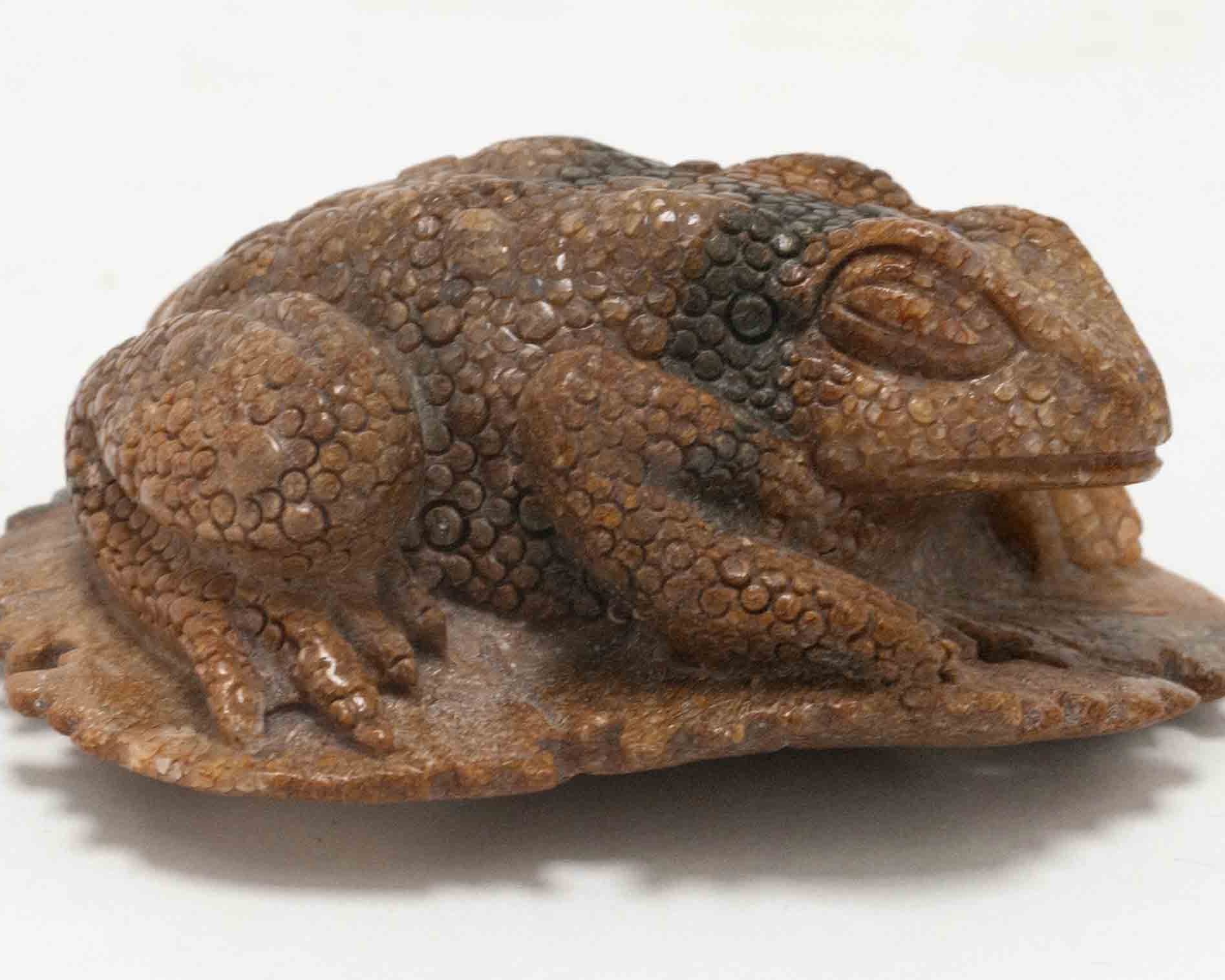 A frog carved from a piece of whale bone found on the Gaviota, CA coastline.