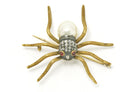 A late 1800s diamond and pearl spider brooch.
