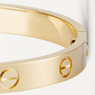 A closeup at the icon screw design seen in the love bracelet by Cartier.